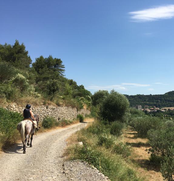 sejours